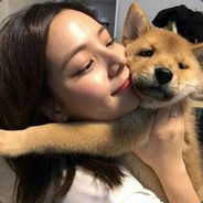 借着风给你告白