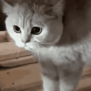 Juahos - steam id 76561198352311721