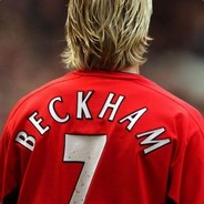 春观夜樱，夏望繁星