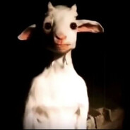 𝐪𝟗𝐚𝐬𝐚𝐫