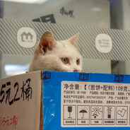 𝕟𝕠𝕒𝕨𝔸𝕜𝕖