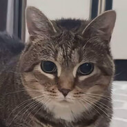 oiiaioooooiai自由人