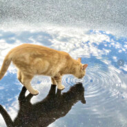 魈魈对我笑了欸