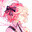ャ Animoru