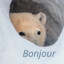 bonjour