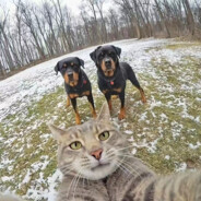 白给大队突击手