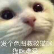 今天喵咪也想要一份se图