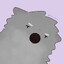 smalldogdog