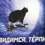 ЖПЧШТС
