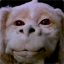 Falcor