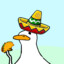 MEXICAN DUCK