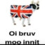 UK COW