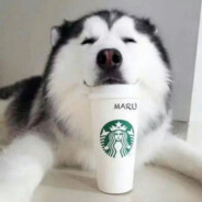 好大儿别追嫩爹了！