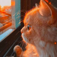 这个圣诞会下雪吗