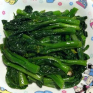 韩国选手朴人猛