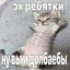 Бритни Спирт