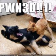 WAIDMANN!Fantasy Row!