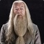 Dumbledore Perkamentus