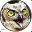 Meth Owl