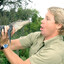 steve irwin