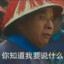 精灵副将马国成