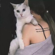 你的背影如梦幻一样