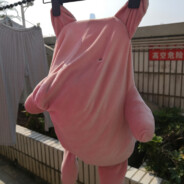 凉拌菠萝空心菜