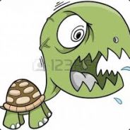 SchizophrenicTurtle3