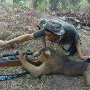 Der_Hobbylose #SaveTF2