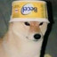 Shiba