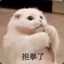 汤圆粉子_