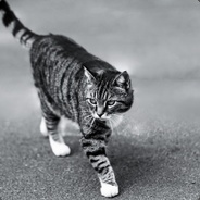 这个练习生不太冷