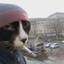 Skif's avatar