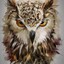 WiseOwl