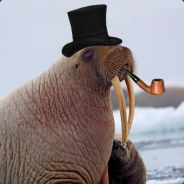 DelusiveWalrus