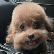 老天保佑金山銀山前路有