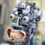 BOT, O BOT