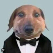 андрюха ашкуди