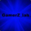 GamerZ_lab