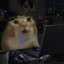 cattospurr
