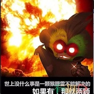 考拉喵万年不改