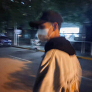 给公狗做剖腹产手术