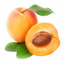 Абрикос