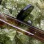 Baddeleyite
