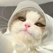 蓝莓菠萝派无敌