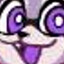 johnathan the raccoon