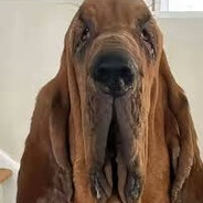 mauzas - steam id 76561198208603019