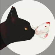 a1不语只是一味的换弹