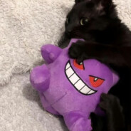 叽叽歪歪说啥呢