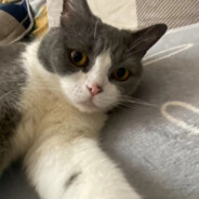 人间绝色李有钱